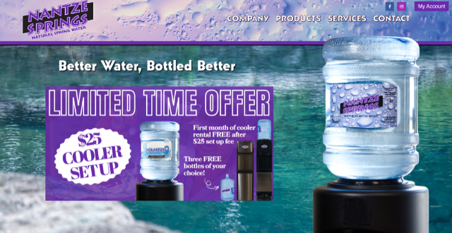 Nantze Springs website design