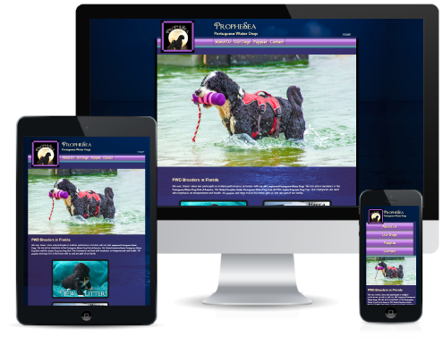 PropheSea - PWDs Responsive Web Design