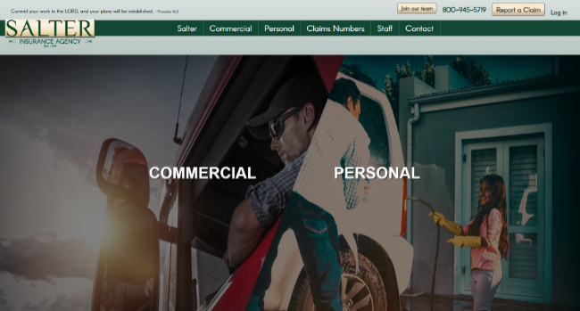 Salter Insurance website design